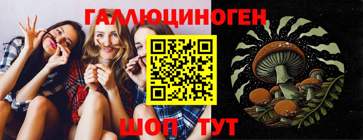 Галлюциногенные грибы Cubensis Кизилюрт
