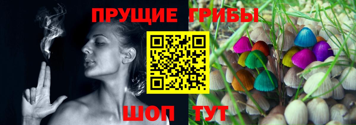 Кизилюрт  Псилоцибиновые грибы прущие грибы  Вход с VPN 